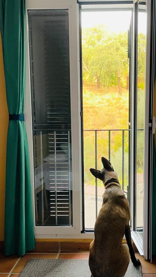 Casa Rural Una Ventana A La Montana Aracena Kültér fotó